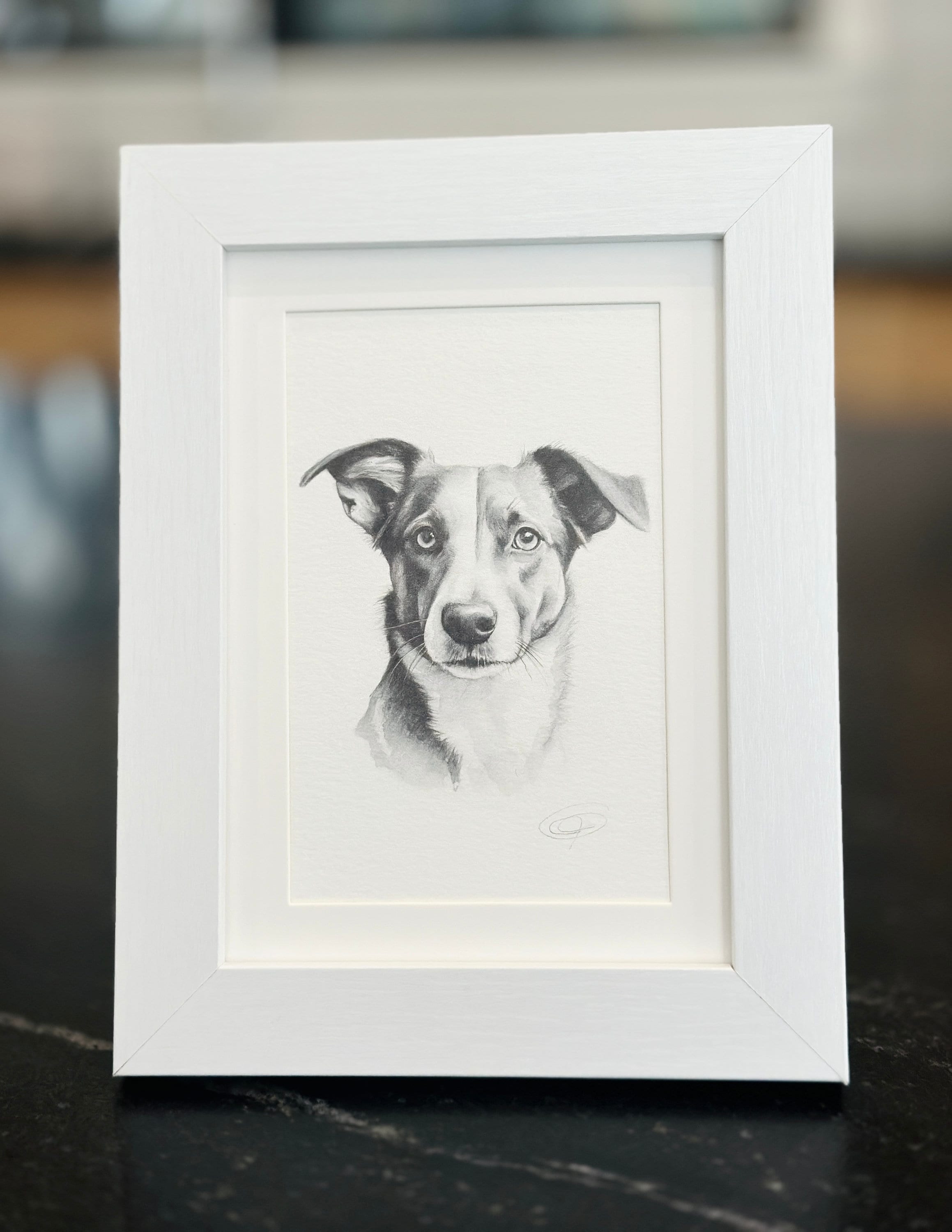Hand-Drawn Pet Portrait — Watercolor Pencil