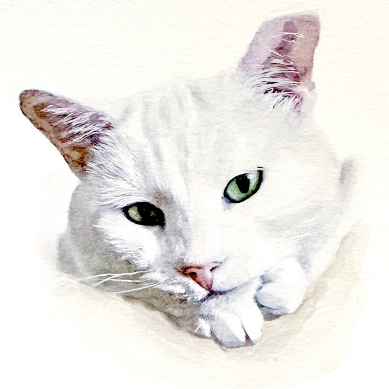 Hand-Painted Pet Portrait From Photo, Custom Watercolor Art, Made to Order Dog & Cat Painting, Family Pet Illustration, Customized image 9