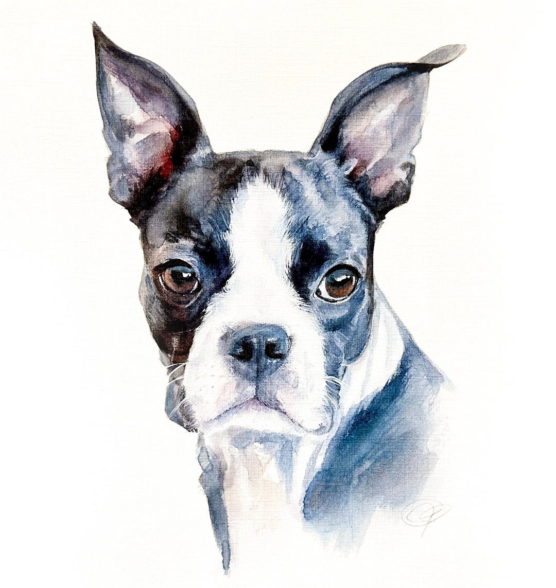 写真から手描きでペットの肖像画を作成、オーダーメイドの水彩画、犬