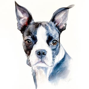 Portrait d'animal de compagnie peint à la main à partir d'une photo, aquarelle sur commande, chiens, chats, n'importe quoi - Personnalisation : nom, arrière-plan