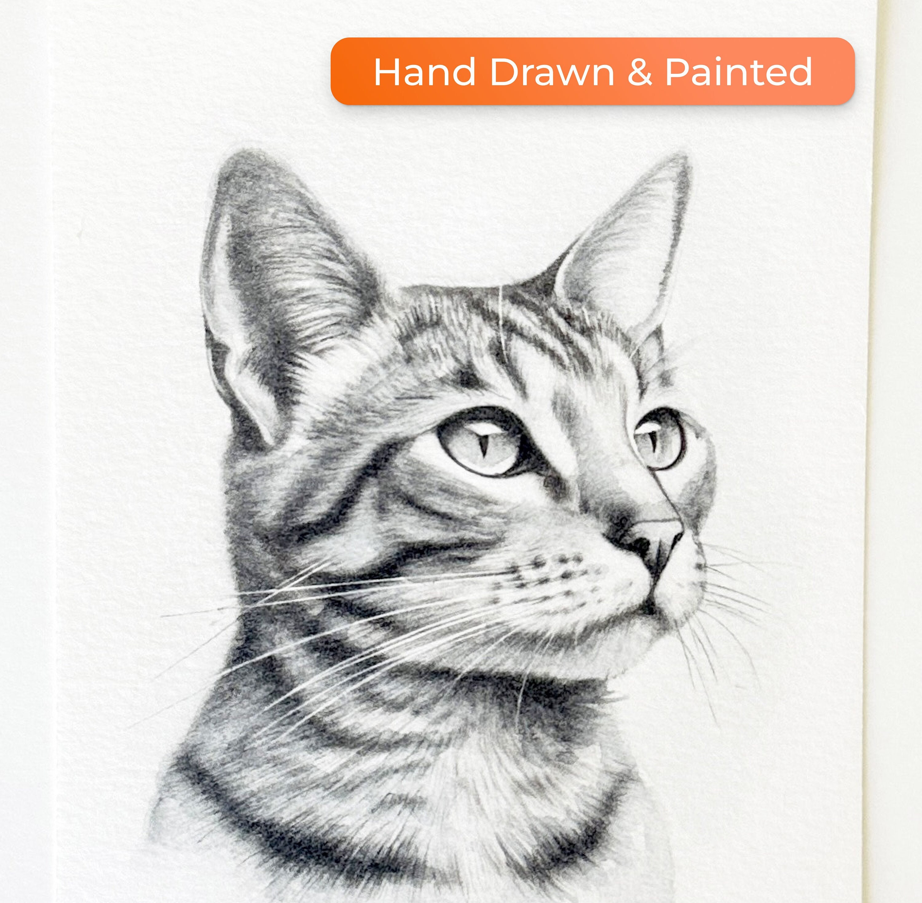 Hand-Drawn Pet Portrait — Watercolor Pencil