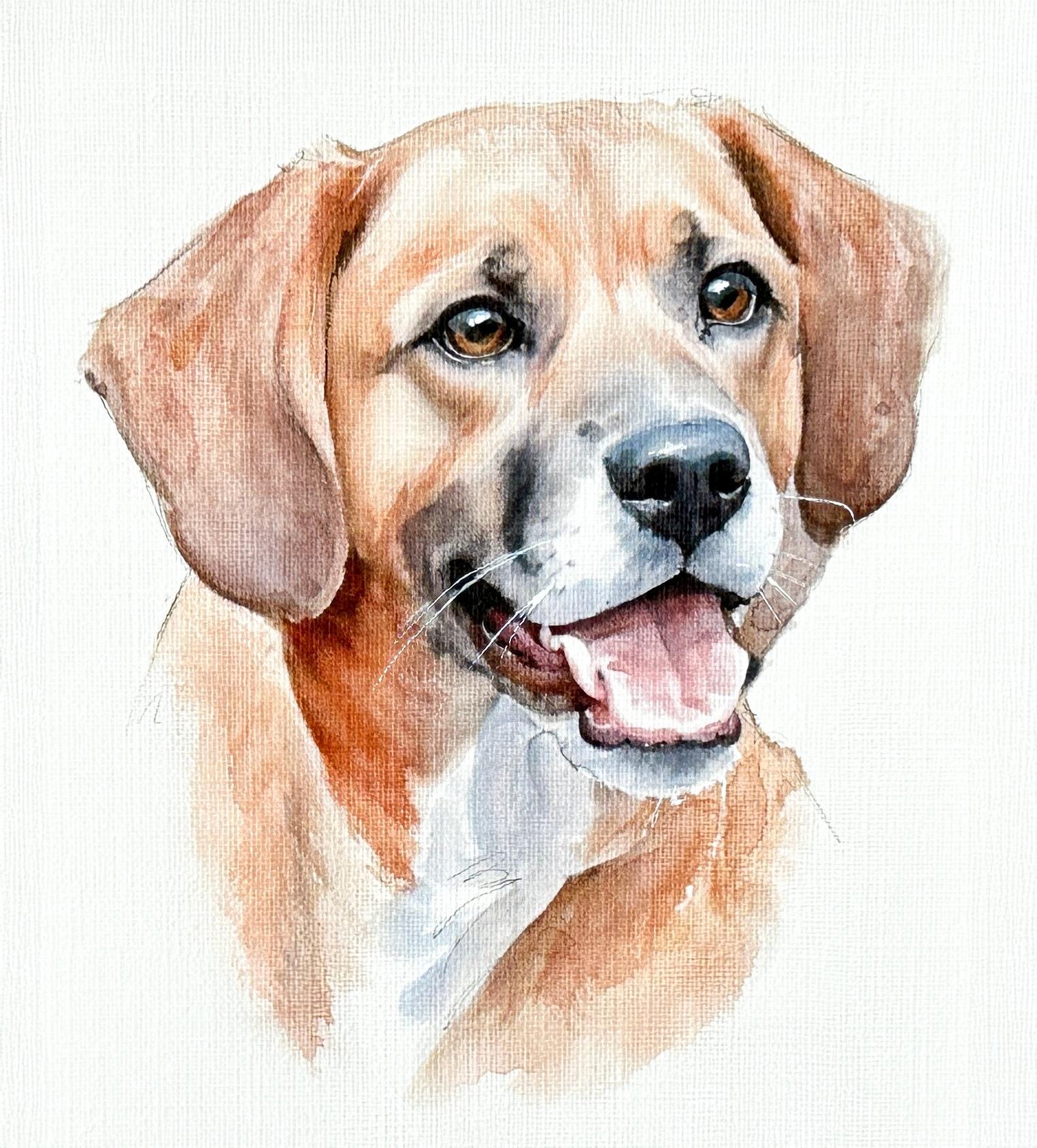 写真から手描きでペットの肖像画を作成、オーダーメイドの水彩画、犬