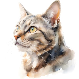 Echte handgeschilderde aquarel kattenportretten (GEEN digitale prints) Stuur je foto, ik schilder hem. Aquarelkunst op bestelling gemaakt