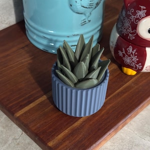 Fruit Fly Trap | Cute Flower | Reusable Screw Top Trap | Stylish Kitchen Solution