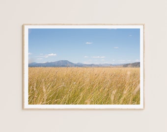California Summer Fields Print – Sierraville Landscape Photography