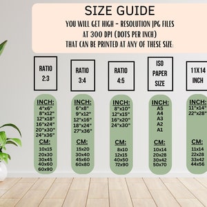 May include: A size guide for digital prints, showing different aspect ratios and corresponding inch and centimeter measurements for various print sizes. The guide includes standard ISO paper sizes and a 11x14 inch option.