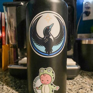 May include: Black water bottle with two stickers. One sticker features a black bird with outstretched wings and a starburst. The other sticker is a baby in a green frog costume with the text "DUCKLES BY BETSY".