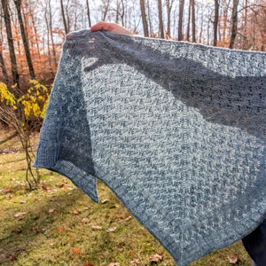 May include: A gray knitted shawl with a lacy pattern. The shawl is held up by a hand in front of a blurred background of trees.