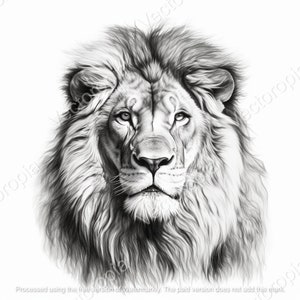 Black and white Lion PNG | Lion Sublimation Art | Lion Portrait PNG | Lion Illustration | High Quality PNG - Instant Download
