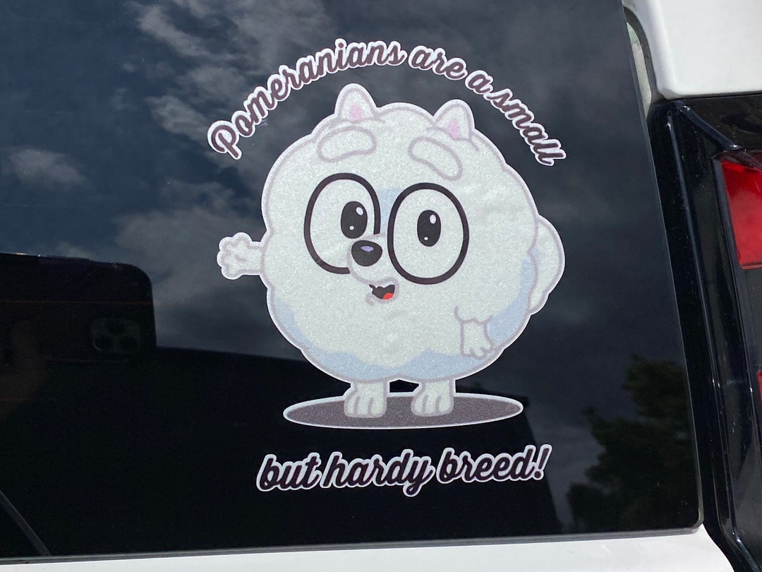 POM POM Pomeranians Are a Small but Hardy Breed Bluey Car Etsy