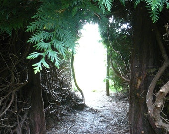 Beautiful nature photos