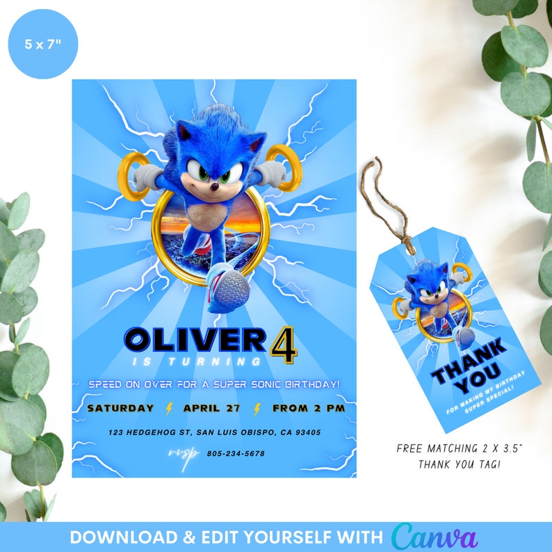 Birthday Invitation Template Printable Hedgehog Birthday Invite 
