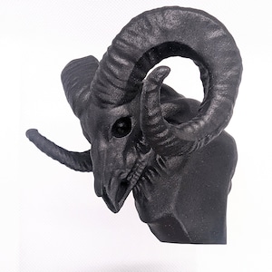 Bighorn - RAMSKULL-kapornament - past op ram-pickups 1980-1993 / Cummins eerste generatie