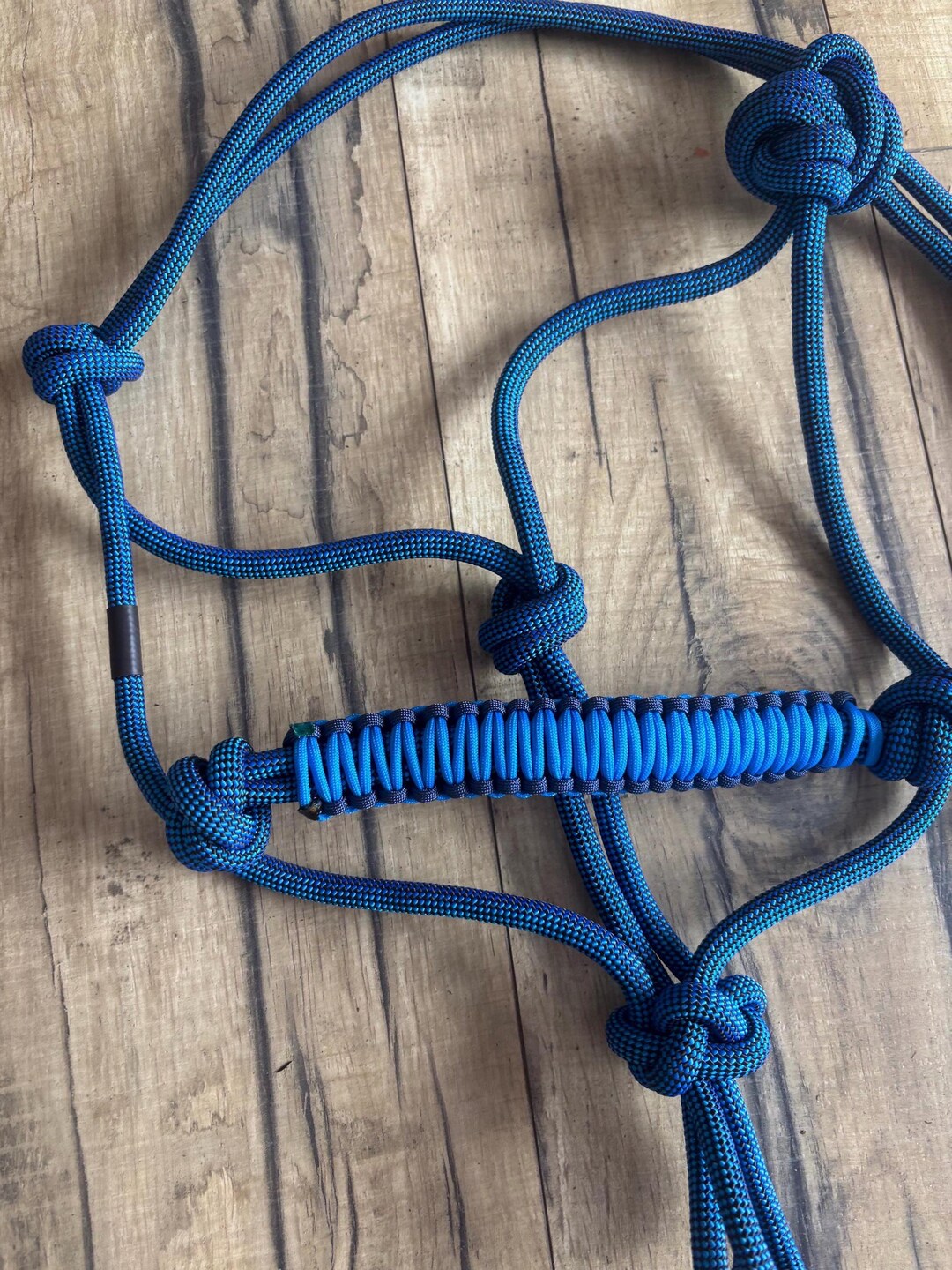 Horse Halter-blue Standard Rope Halter With Blue Noseband. - Etsy
