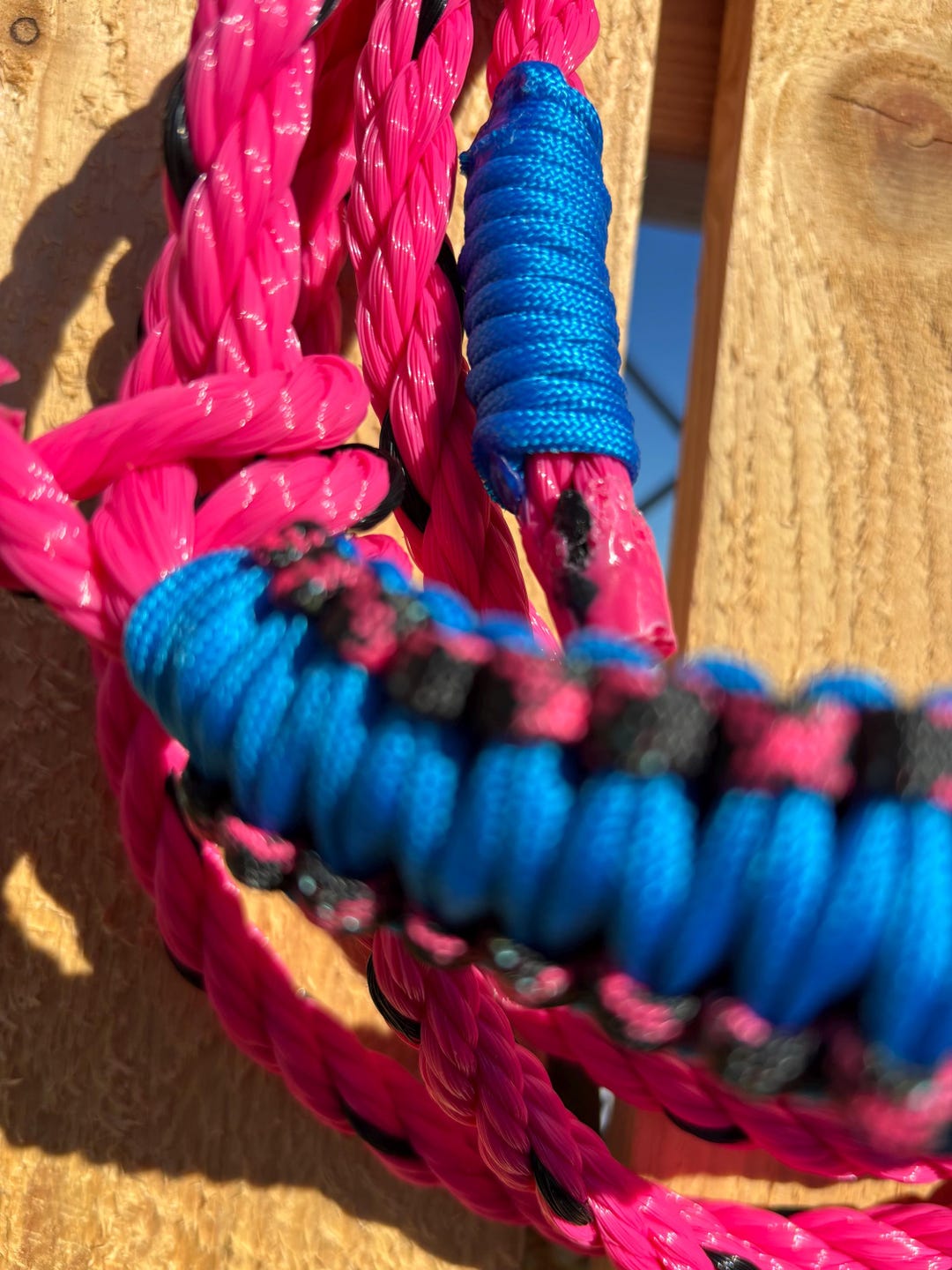A42- …new…pink-cow Halter - Etsy