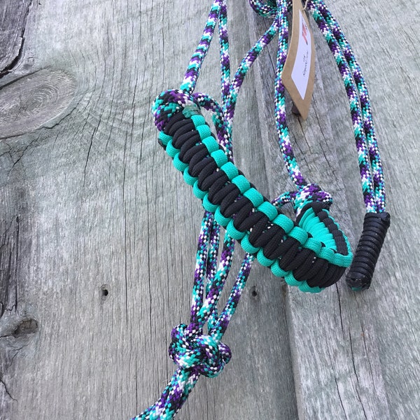 Mini donkey halter turquoise black