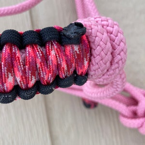 Horse Halter-pink with red pink noseband