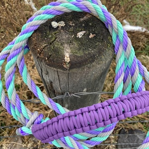 Cow halter-with  light green, purple and white with braided nose band