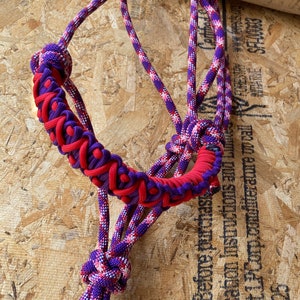 Horse Halter-pink-purple-red-white