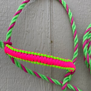 Cabestro de cuerda para vaca - Rosa y verde
