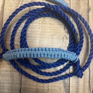 Calf halter-blue with blue noseband