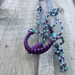 Mini donkey halter-turquoise, purple and black with noseband