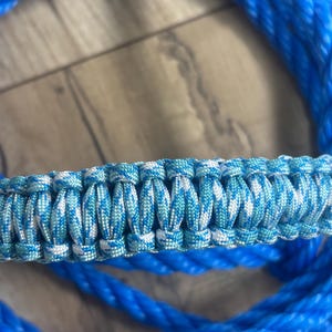Who loves Blue- Rope cattle halter