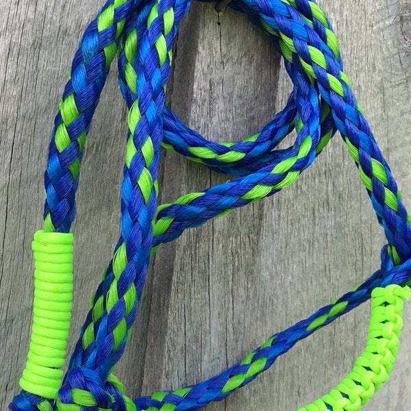 Sheep/goat halter-blue and bright  green