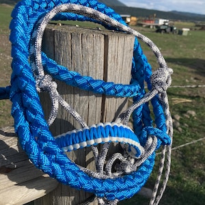 Mini donkey halter-lead rope-blue and gray