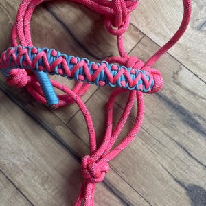 Horse Halter-pink with a touch of blue