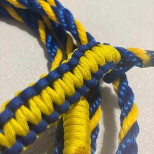 Blue and gold  Rope halter-