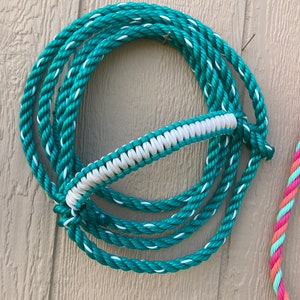 Cow halter--teal and white