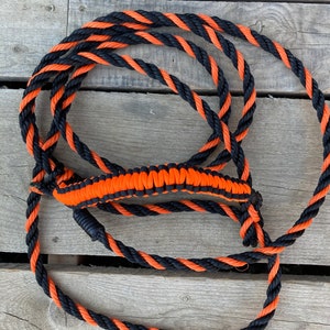 Cow halter-black/orange