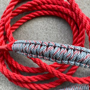 Cow halter-gray/red