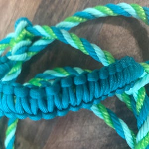 A11-Cow halter-teal with lime