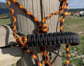 D16-Mini donkey halter-orange with black