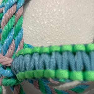 Cow halter-light blue with light green.