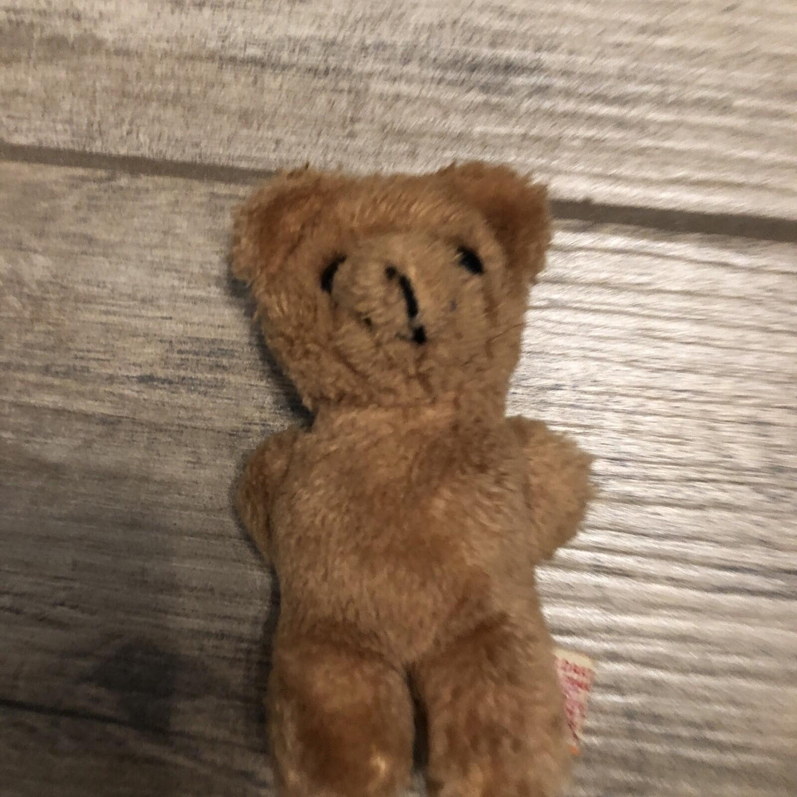 ビンテージ ポーリッシュベア べージュ テディベア DAKIN Dakin teddy