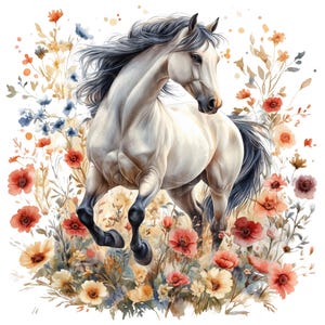 Clipart cheval, lot de 14 PNG, aquarelle cheval Clip Art, Portraits de chevaux Cowboy fleurs sauvages Cowgirl basse cour grange florale équitation