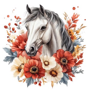 Clipart cheval, lot de 10 PNG, Clipart aquarelle cheval, Portraits de chevaux Cowboy Cowgirl fleurs sauvages ferme basse-cour Floral équitation
