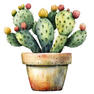 Clipart cactus, lot de 18 PNG, 300 DPI Clip Art, cactus vert verdure plante d'intérieur fleur succulente élément graphique numérique aquarelle