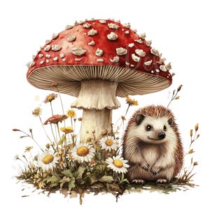 Clipart champignon vénéneux, lot de 13 PNG, clipart 300 DPI, champignons champignons jardin bois fleurs sauvages, élément graphique autocollants aquarelle