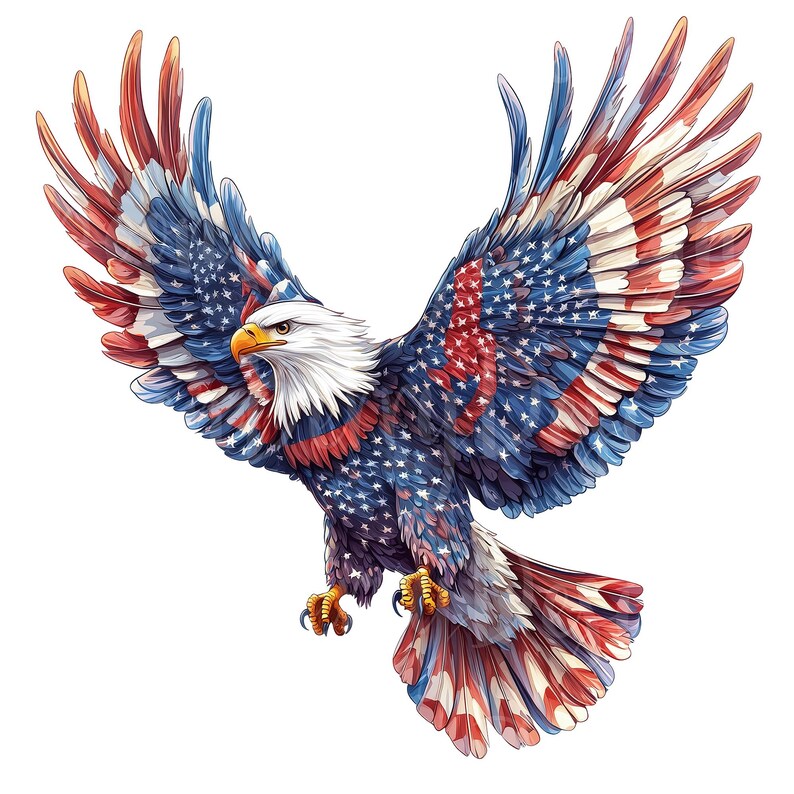 American Eagle Clipart, Set of 13 PNG Bundle, 300 DPI Clip Art, Bald ...