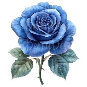 Blue Rose Clipart, Set of 12 PNG Bundle, 300 DPI Clip Art, Wedding Bouquet Plant Flowers Summer Garden, Watercolor Digital Graphic Element