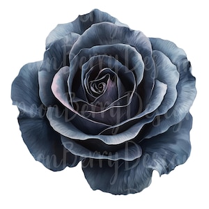 Clipart de rosa preta, conjunto de 11 PNG Bundle, 300 DPI Clip Art, buquê de casamento Dark Gothic Flower Garden, elemento gráfico digital em aquarela