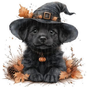 Svarta hundar Clipart, set med 15 PNG-paket, transparent bakgrund, höstakvarell clipart, Halloween skräpjournal scrapbooking, häxhattar