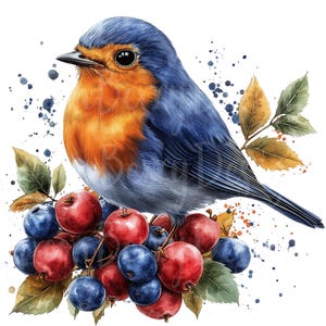 Pássaros selvagens clipart, conjunto de 14 PNG Bundle, 300 DPI Clip Art, pássaro colorido fruta baga aquarela digital gráfico adesivo pintura de parede