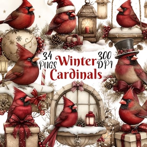 Cardinal Clipart, Set of 34 PNG Bundle, 300 DPI Clip Art, Christmas Winter Red Bird Clipart, Watercolor Holiday Graphic Art, Sublimation POD
