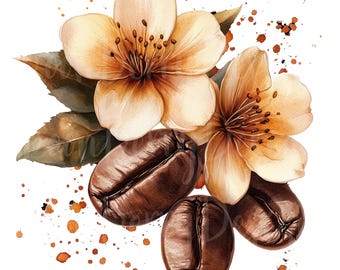 Coffee Bean Flowers Clipart, Set of 11 PNG Bundle, 300 DPI Clip Art, Cozy Coffee Shop Cafe Beanery Floral Expresso Latte Watercolor Digital