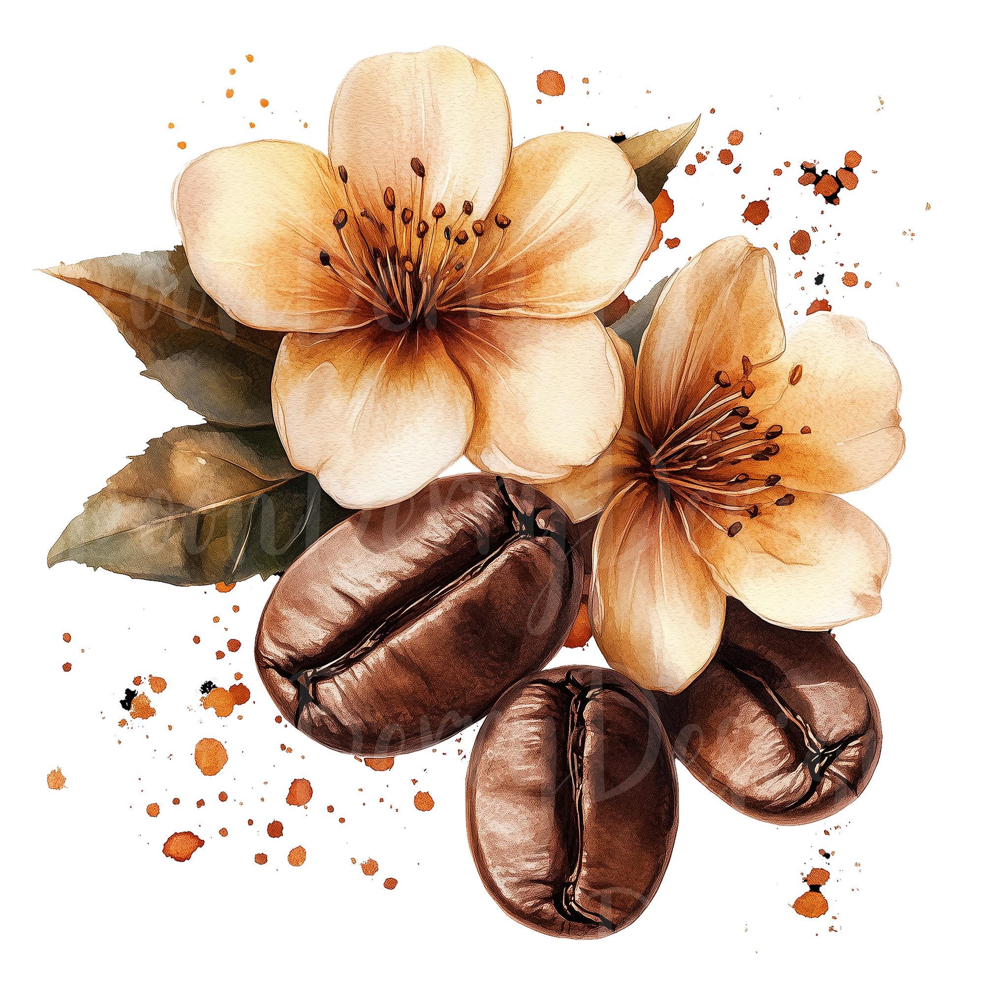 Coffee Bean Flowers Clipart, Set of 11 PNG Bundle, 300 DPI Clip Art